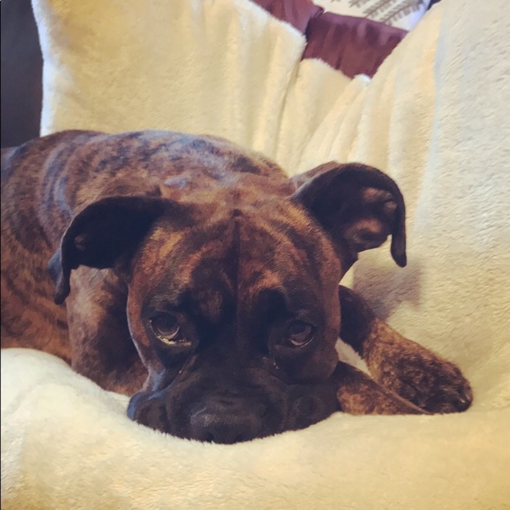 Meet your Posher, Brynn